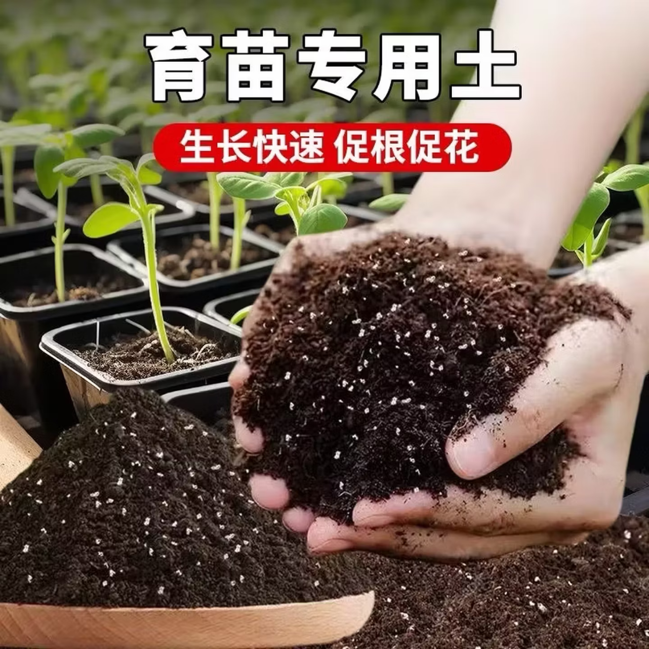 育苗专用土育苗营养土基质土营养杯种蔬菜有机肥料播种用土种植土 十斤