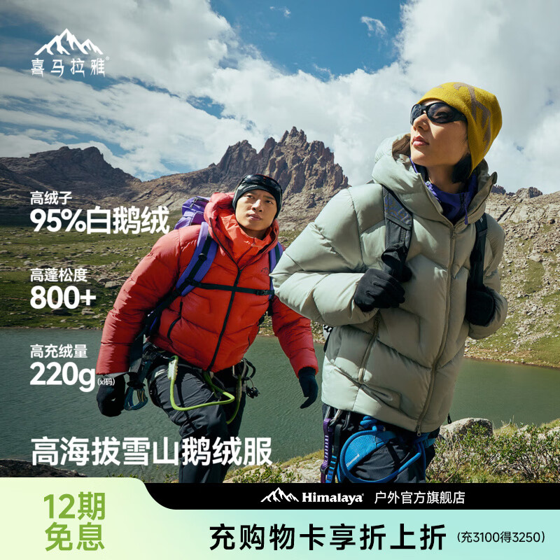 喜马拉雅玉龙鹅绒服800蓬95绒-20°C雪山攀登专业户外防风冰雪鹅绒羽绒服 幻影黑 800蓬95鹅绒-20°C L 充绒量210g
