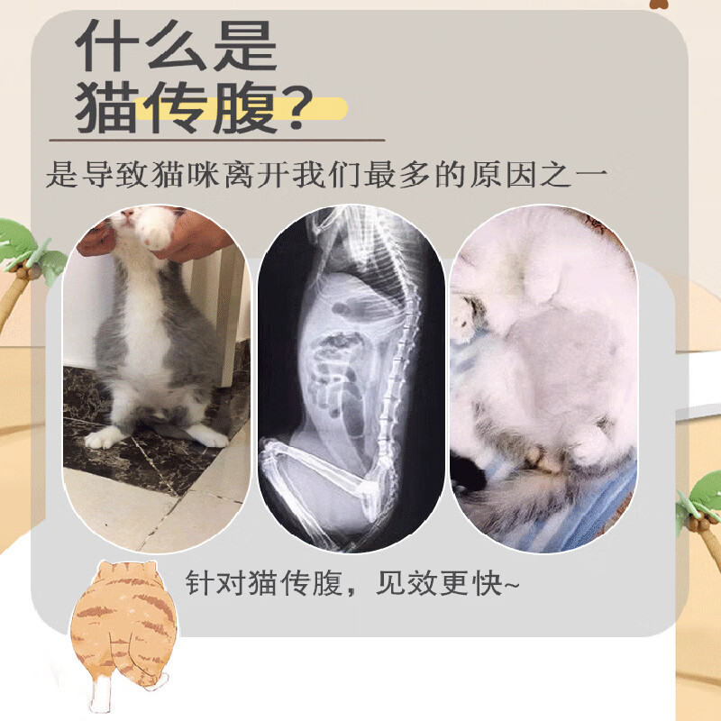 (次日达)44I猫腹传针剂油剂水剂干湿性腹水腹膜炎口服片剂 加强版 【2-3公斤口服片】12片加强版
