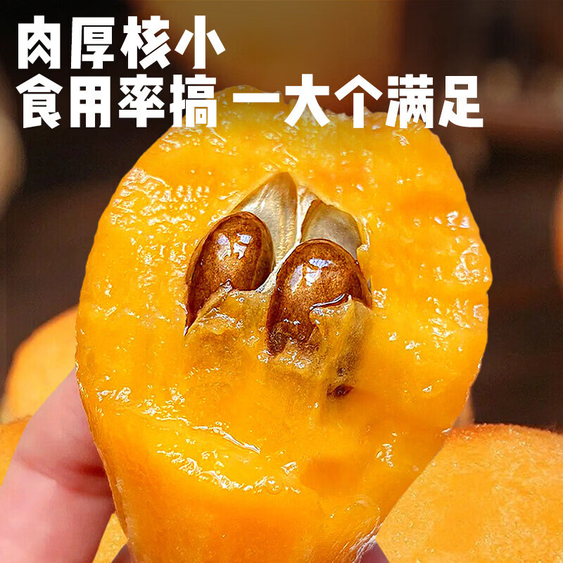 四川米易五星大枇杷水果礼盒高山现摘现发当季新鲜纯甜琵琶特大果 1.4斤礼箱装【90%品尝后选择5斤装】净重1斤  A+级商超果【单果20-30g】【JD顺丰多地次日达】