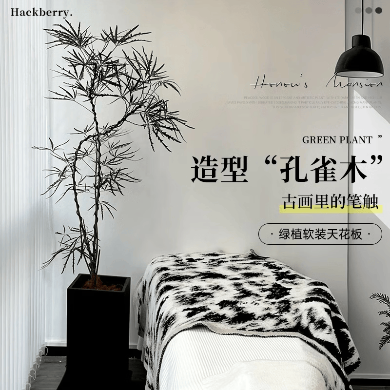 雅致孔雀木绿植室内大型盆栽客厅办公室网红观叶植物落地大号四季好养 精品飘枝孔雀木1.7-1.9米【白色仿直筒树脂盆】