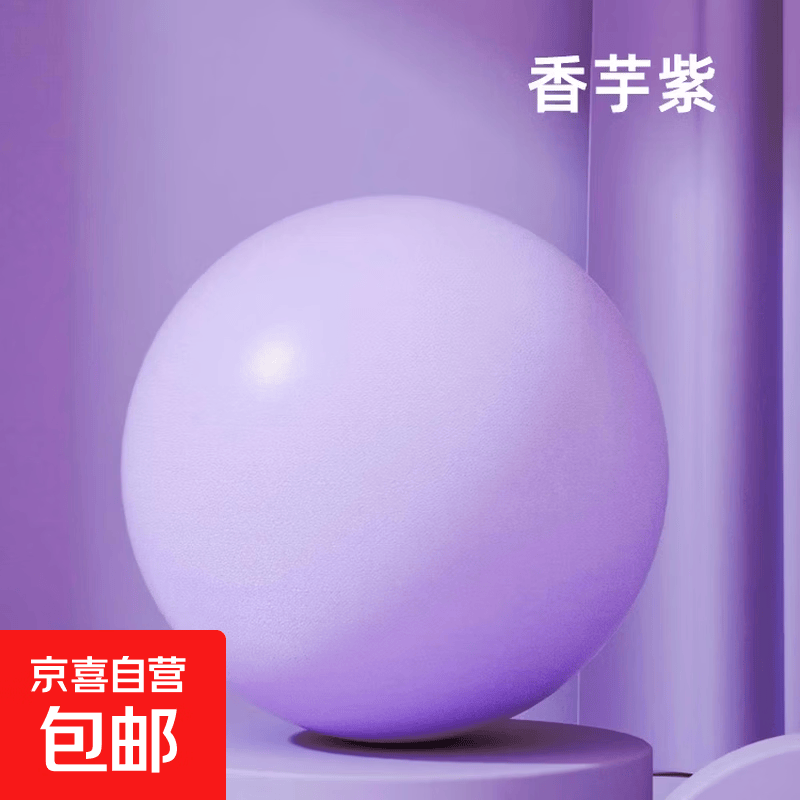 25cm迷你普拉提小球翘臀瑜伽球健身体操防爆盆底肌女康复训练球 普拉提小球【浅紫色】25cm