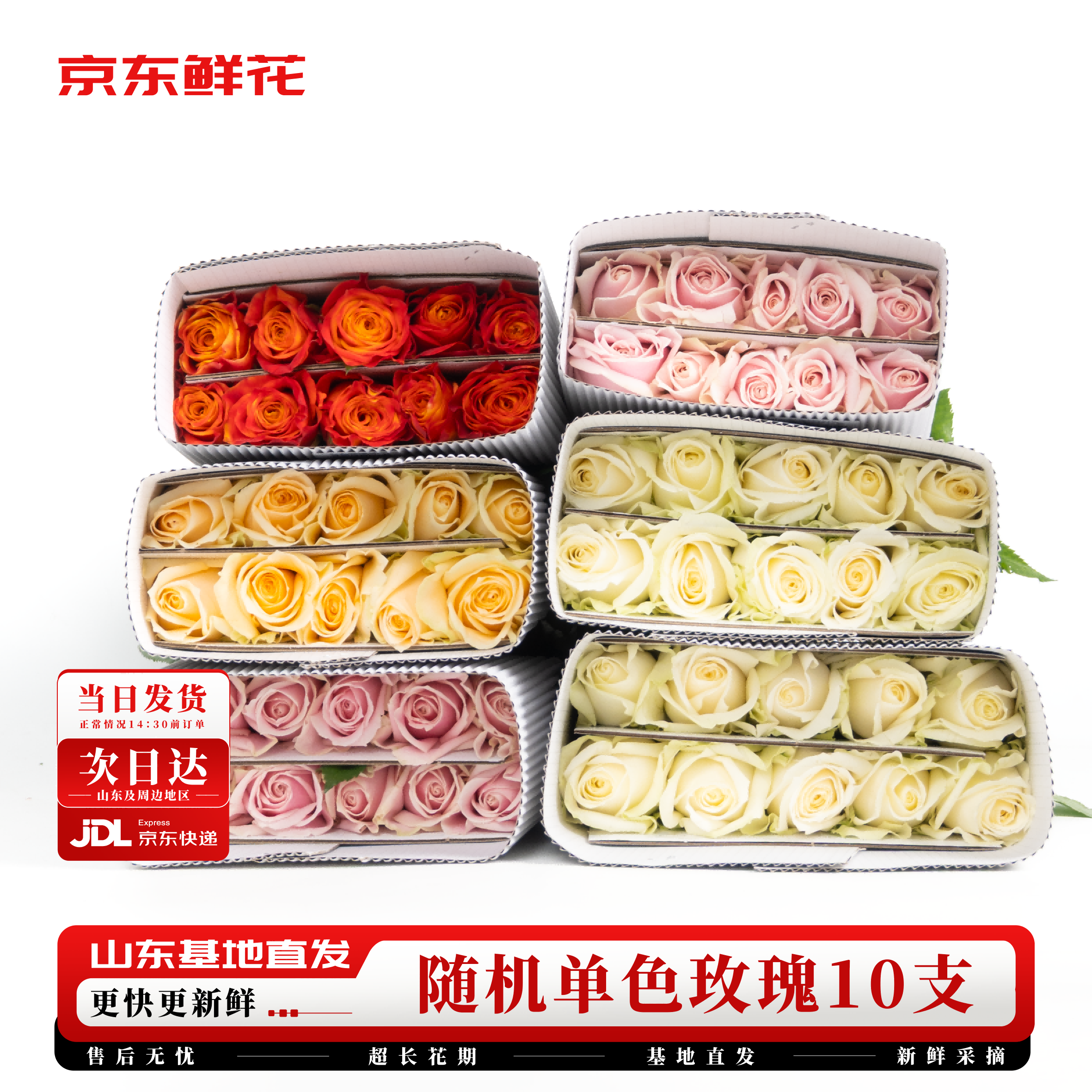 京东鲜花随机玫瑰10枝鲜切花礼品节日基地现采现发源头直发（40cm起发）