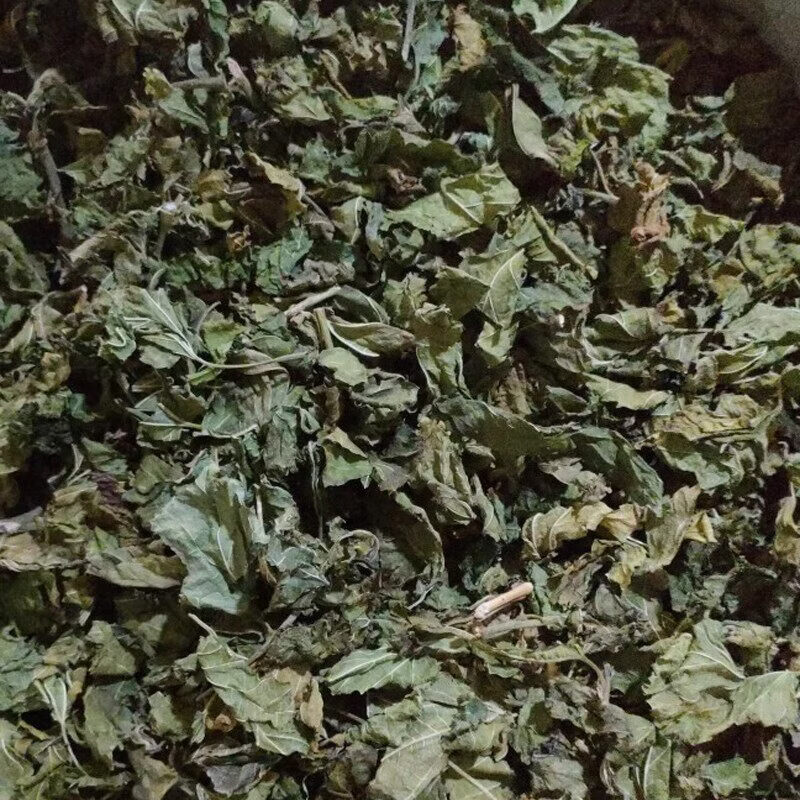 内廷上用桑叶药材桑叶干桑叶泡水喝霜打霜后霜桑叶茶散装桑树叶 桑叶250克+玉米须250克 250g*2袋