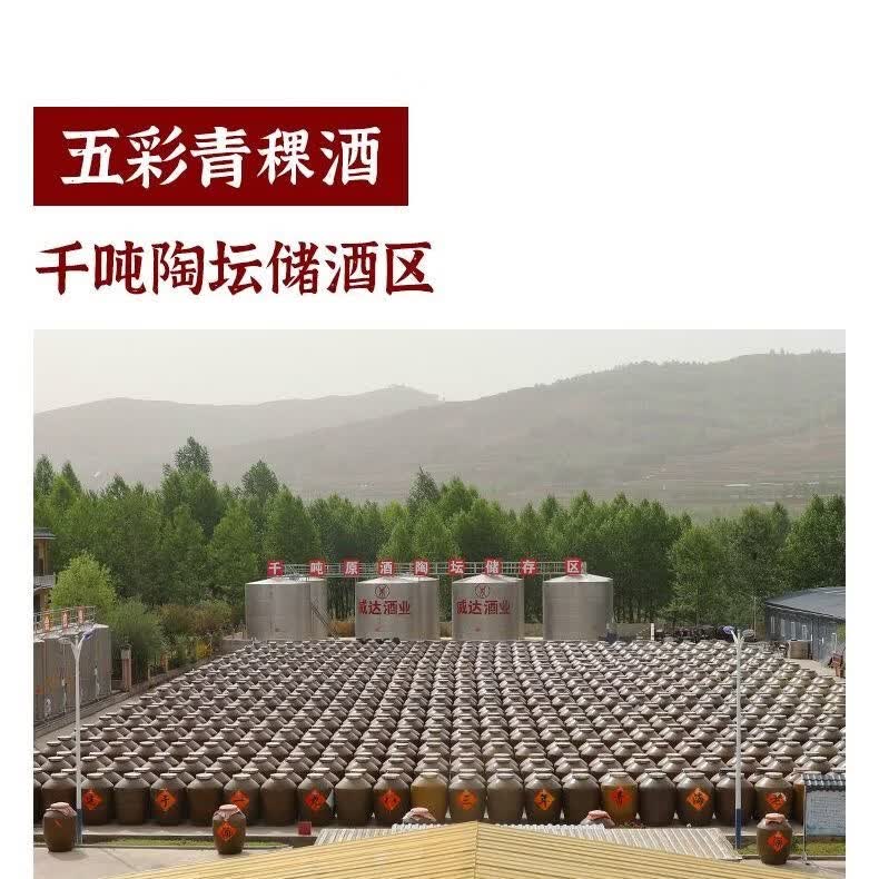 威达酒业 威青海特产互助青稞酒52度纯粮食清香型白酒口粮酒整箱官方正品 52度 500mL 2瓶 【赠2袋125ml的蓝悠青稞酒】