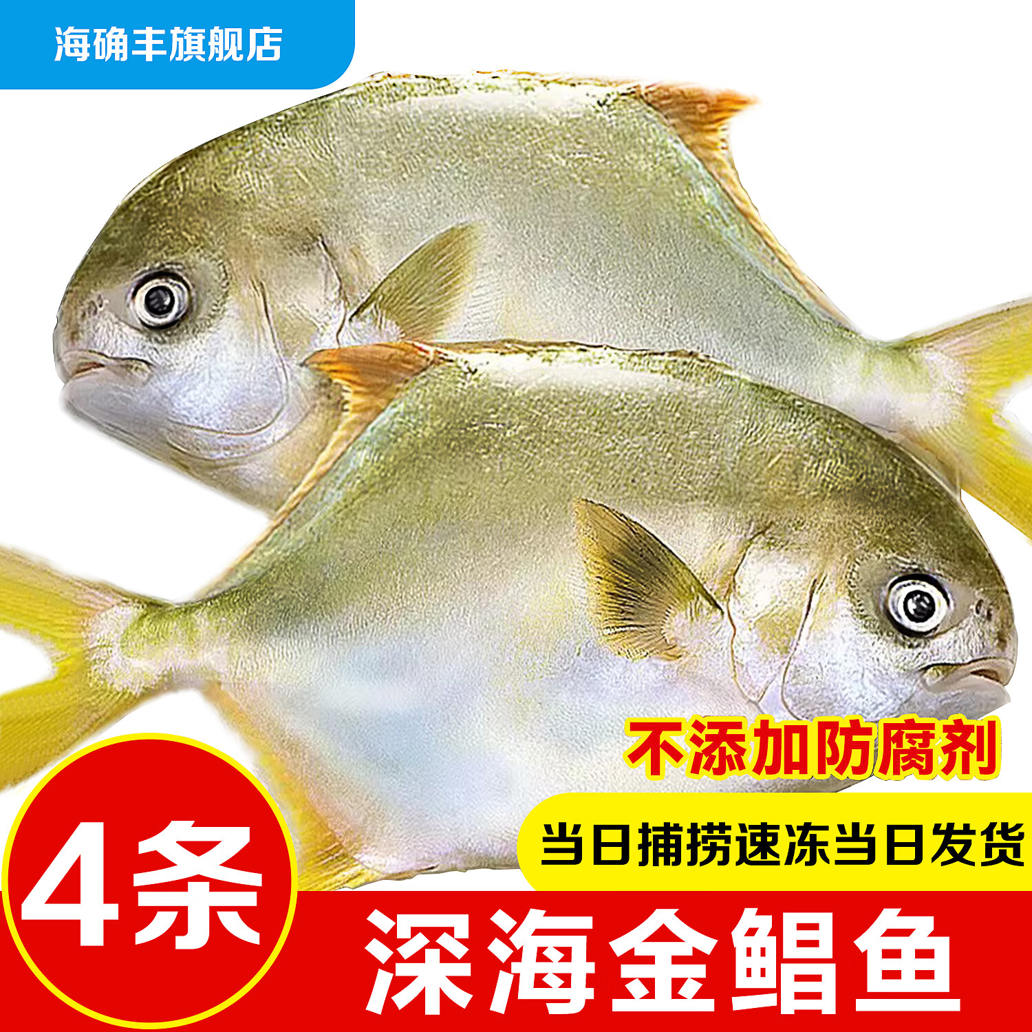 海确丰新货金鲳鱼新鲜镜鱼海鱼鲳鱼金昌鱼阳江海鲜水产鲜活冷冻包邮 550-600g条/4条 金鲳鱼
