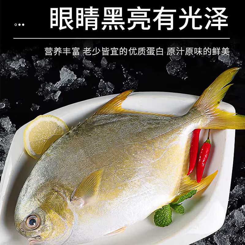 海确丰新货金鲳鱼新鲜镜鱼海鱼鲳鱼金昌鱼阳江海鲜水产鲜活冷冻包邮 550-600g条/4条 金鲳鱼