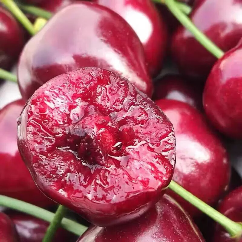 鲁禧海岸山东大樱桃 国产车厘子4J级多规格大樱桃 应季水果 新鲜时令生鲜 4斤(净重) 带箱5斤-【头茬露天樱桃】 手工精选果22-26mm