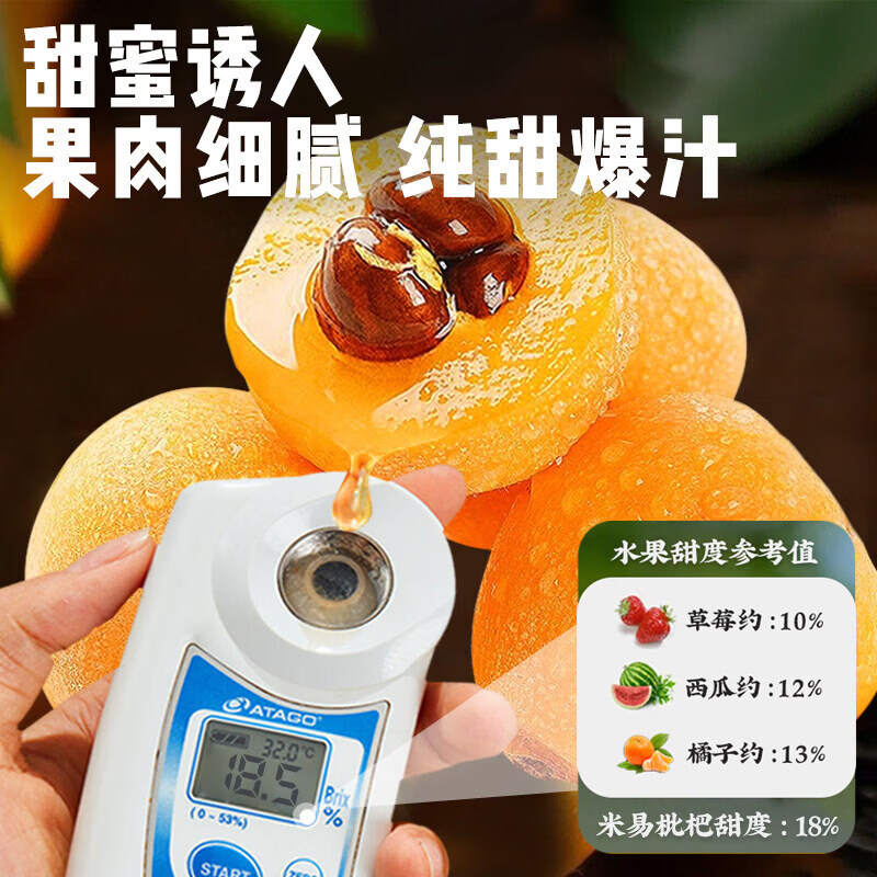 四川米易五星大枇杷水果礼盒高山现摘现发当季新鲜纯甜琵琶特大果 1.4斤礼箱装【90%品尝后选择5斤装】净重1斤  A+级商超果【单果20-30g】【JD顺丰多地次日达】