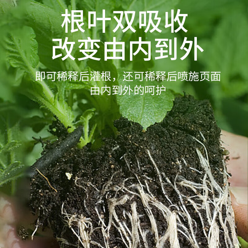 漫生活蔬菜专用营养液果蔬瓜果有机肥家庭阳台种菜专用肥果树植物通用肥 蔬菜专用营养液500ML【日常追肥 应用专利】