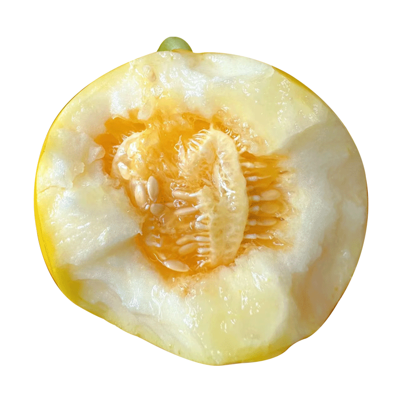 ���ڲ����������� ����ɽϵ�� ����С�۹������� ����3�� ����200g+ 22.9Ԫ