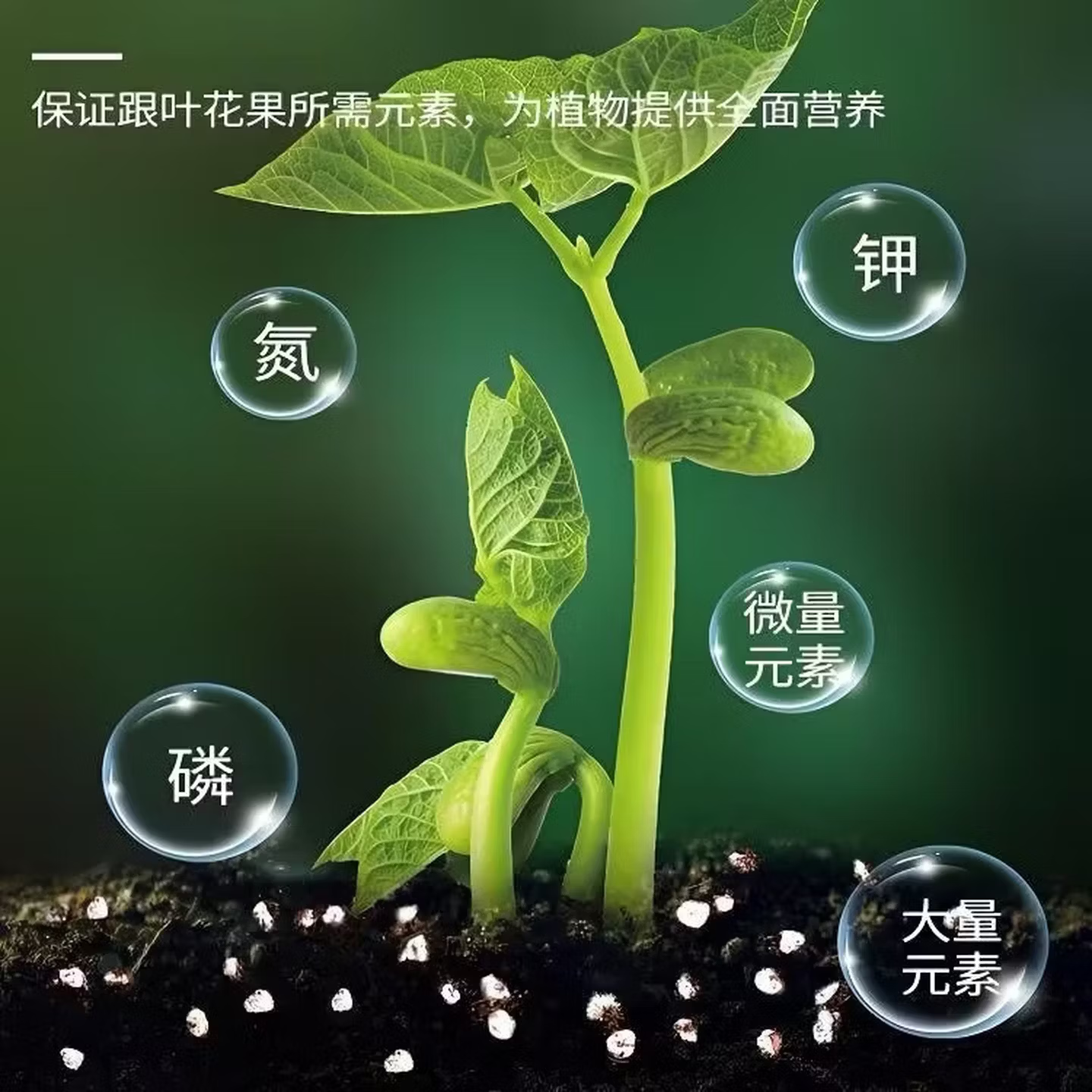 育苗专用土育苗营养土基质土营养杯种蔬菜有机肥料播种用土种植土 十斤