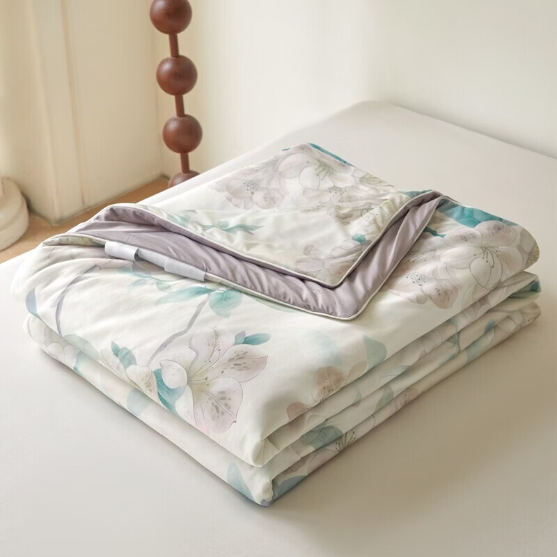 春夏款空调被A类凉感冰丝夏凉夏季单人薄子冷气双人可机洗夏 夏花绿 双人夏被：200x230cm【约2.8斤】