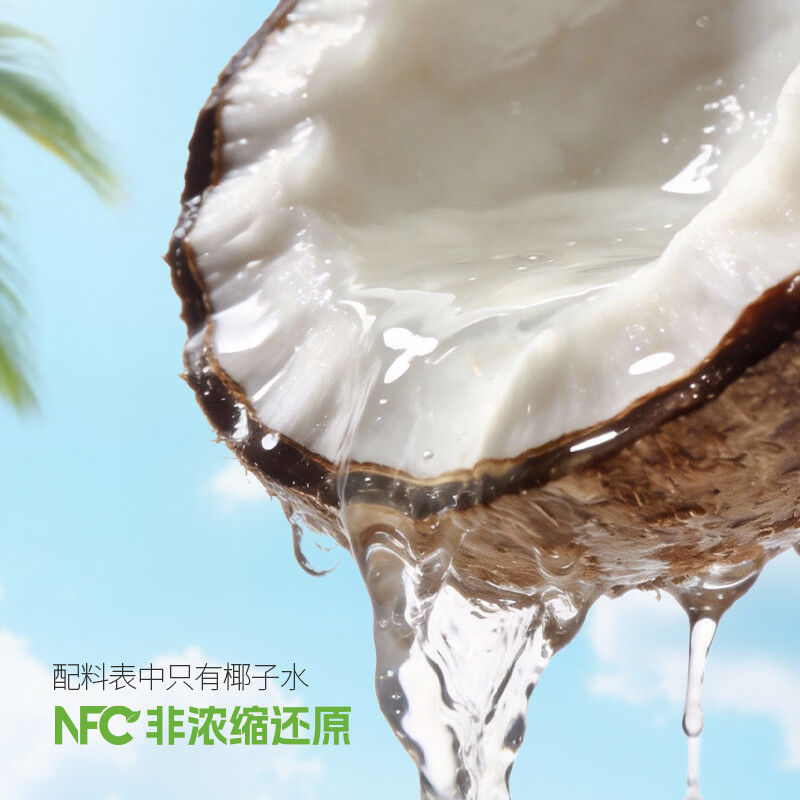 椰牛（yeniu）新品海南鲜椰子水电解质饮料海南特产果汁孕妇饮品清甜口感 【海南本地鲜椰】450ml*15瓶（整箱）