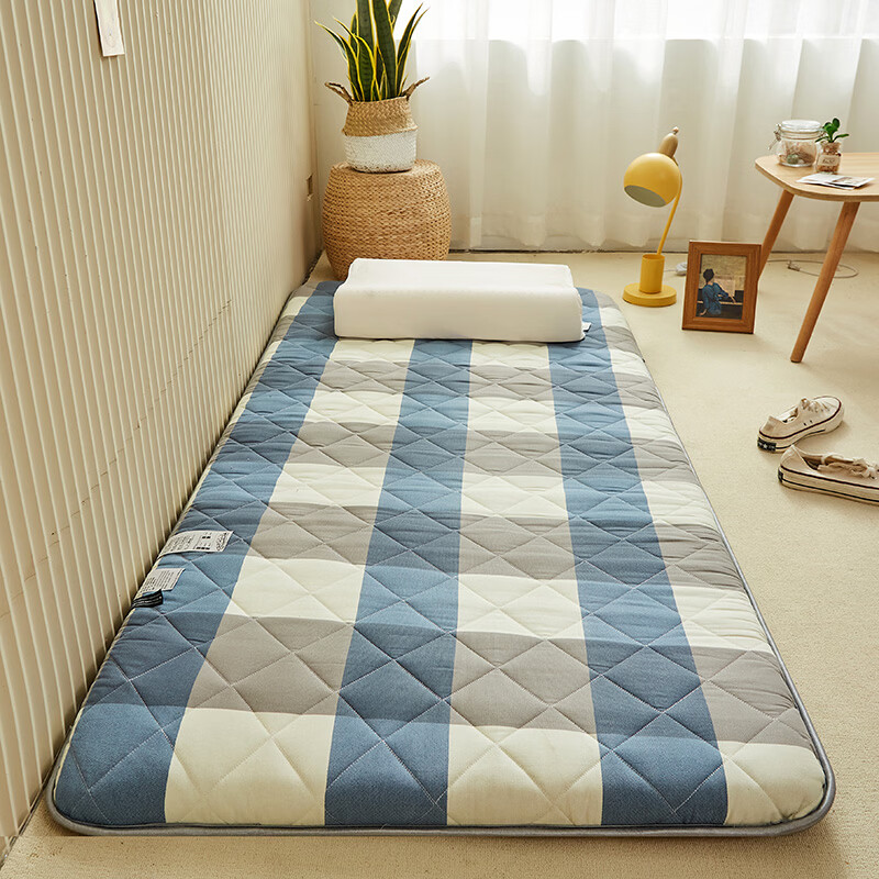 伊伊爱 粗布学生藤席双面床垫 CD0BN02100375/120*200cm/兰