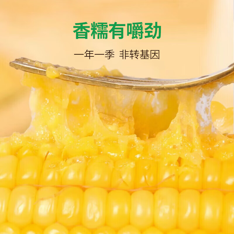源惠鲜礼2025东北新黄糯玉米白糯玉米东北糯玉米软糯香甜低脂粗粮代餐大棒 2025新东北黄糯玉米 250-270g*10棒