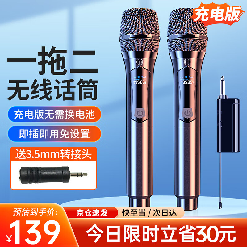 好牧人 U段无线麦克风家庭ktv户外音响演讲舞台主持直播唱歌K歌声卡卡拉OK专业会议充电话筒 专业无线话筒（一拖二）-充电版【1200mAh电池