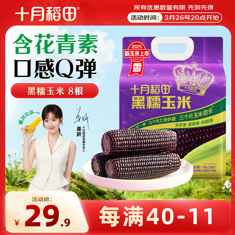 十月稻田 黑糯玉米 3.52斤(220g*8根) 东北玉米 杂粮粗粮 低脂早餐