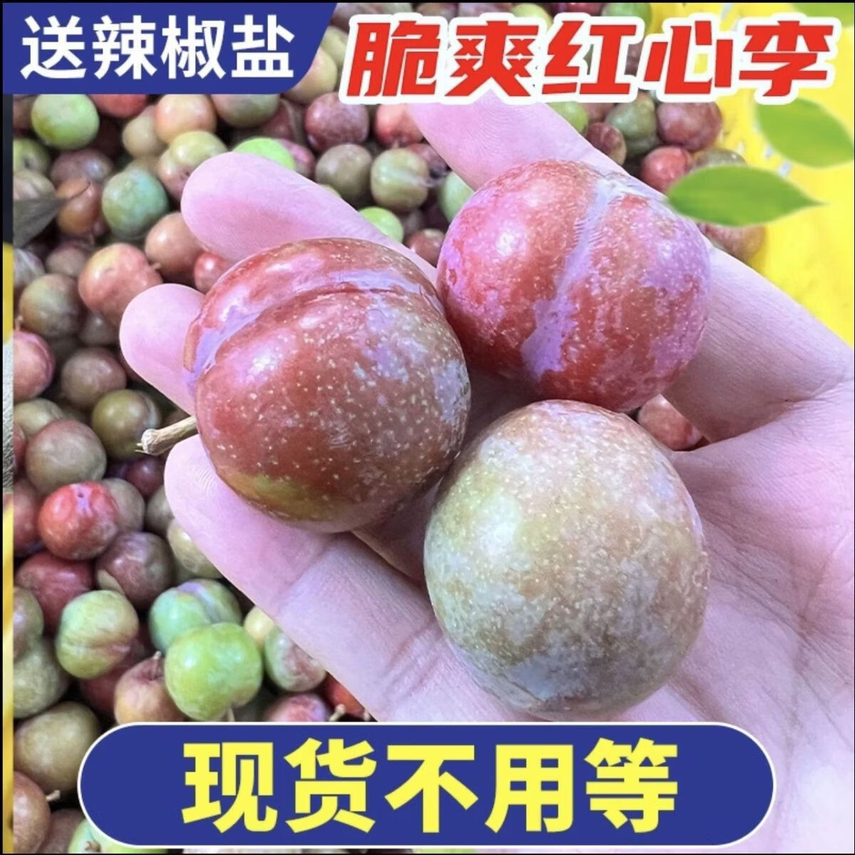 名绩正宗信宜钱排三华李新鲜当季水果现货孕妇酸甜脆包邮红心李子 净重特大果5斤