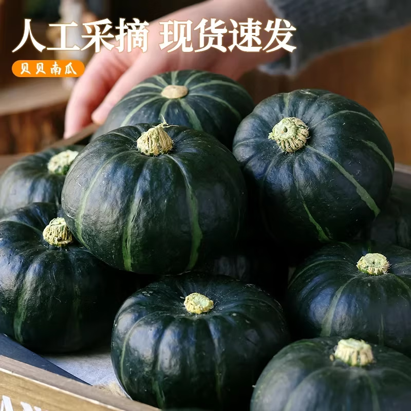 庾丰 源头产地直发 当季现摘 新鲜水果南瓜 贝贝板栗南瓜 5斤装(净果4.5斤)单果350g-500g+