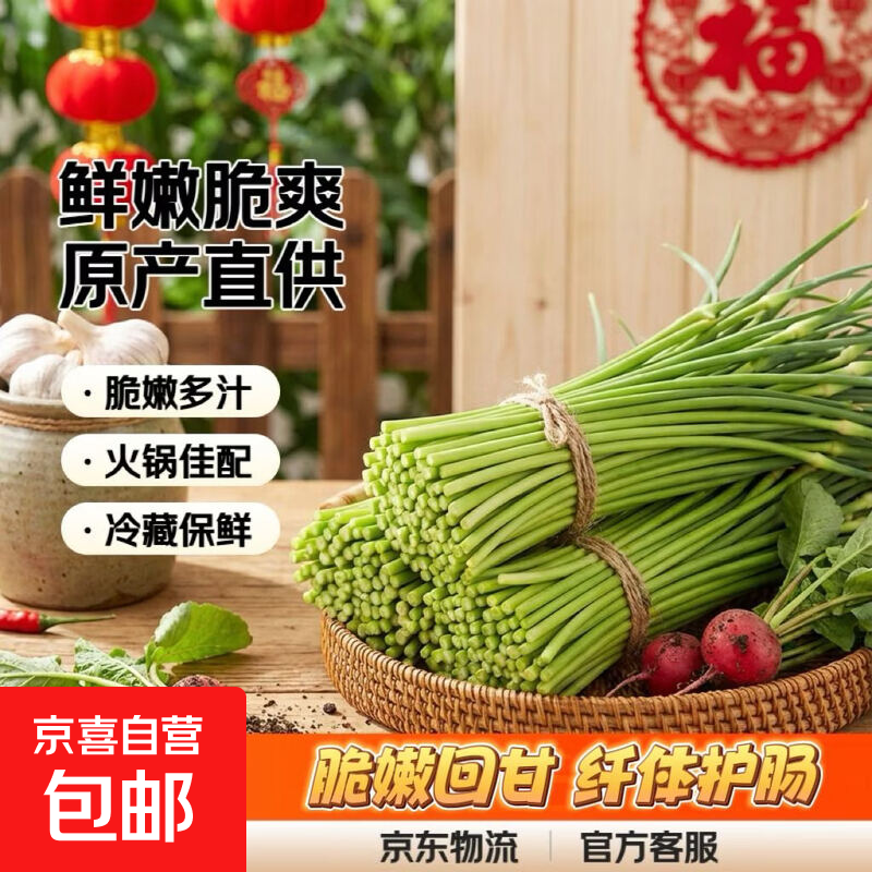 生鲜蔬菜农家蒜薹超市品质蒜苔健康好吃超低价产地直发 1斤（品尝装）