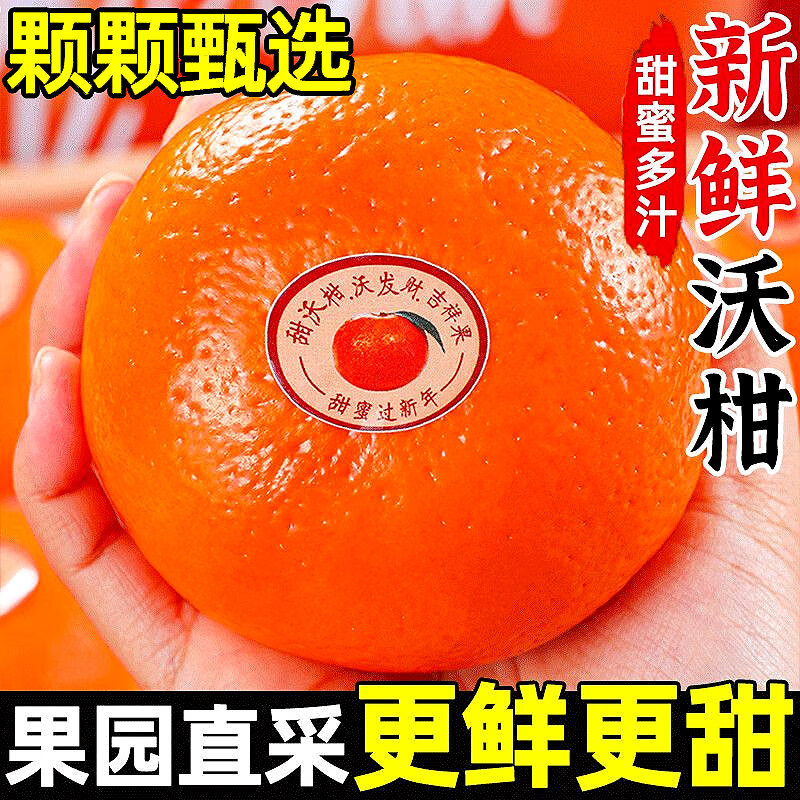 春福乐广西武鸣沃柑【闪送-多地次日达】鲜新柑橘水果当季鲜新沃柑 5斤S+甄选果【老农手挑】净重4.5斤