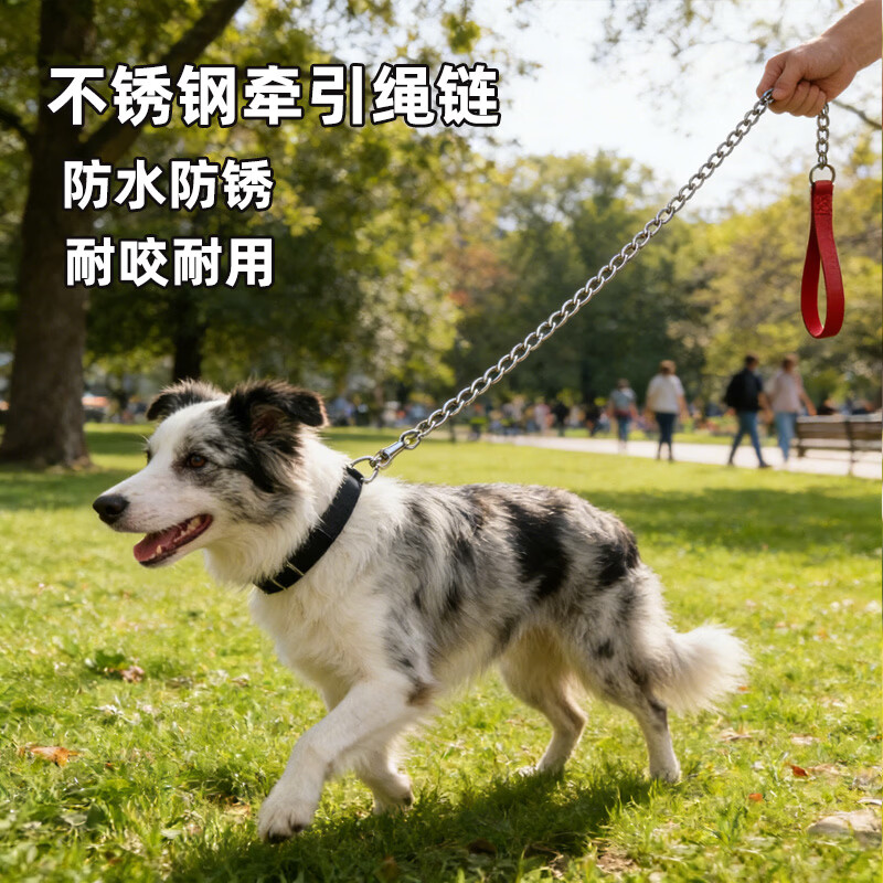 斯派科铁链狗绳狗狗不锈钢牵引绳防咬遛狗绳小中大型犬铁绳拴狗耐用套装 不锈钢链(1.5米直径3.0mm)+黑色项圈L码[18-35斤】