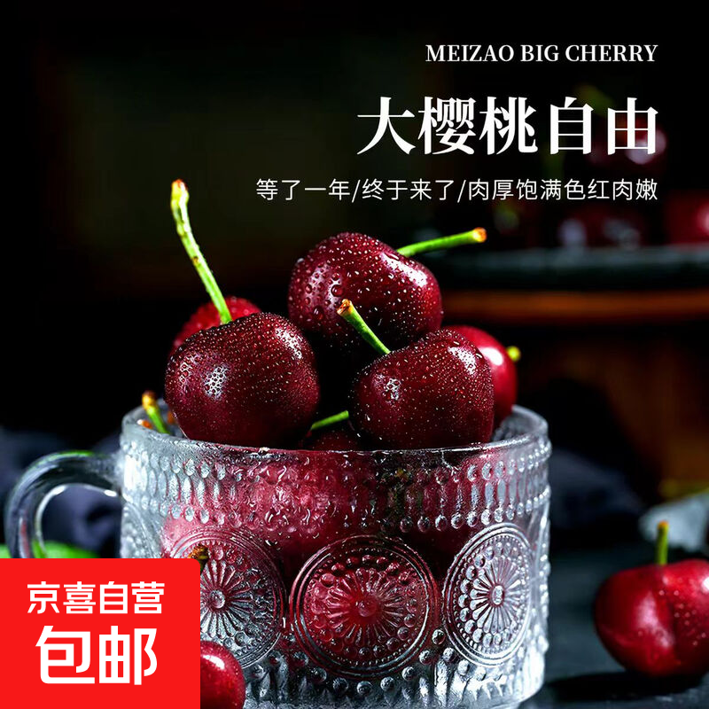 京喜加2026当季大樱桃国产车厘子应季新鲜水果多仓发货京东送货上门 100g(净重) 尝鲜装  XL 单果24-26mm