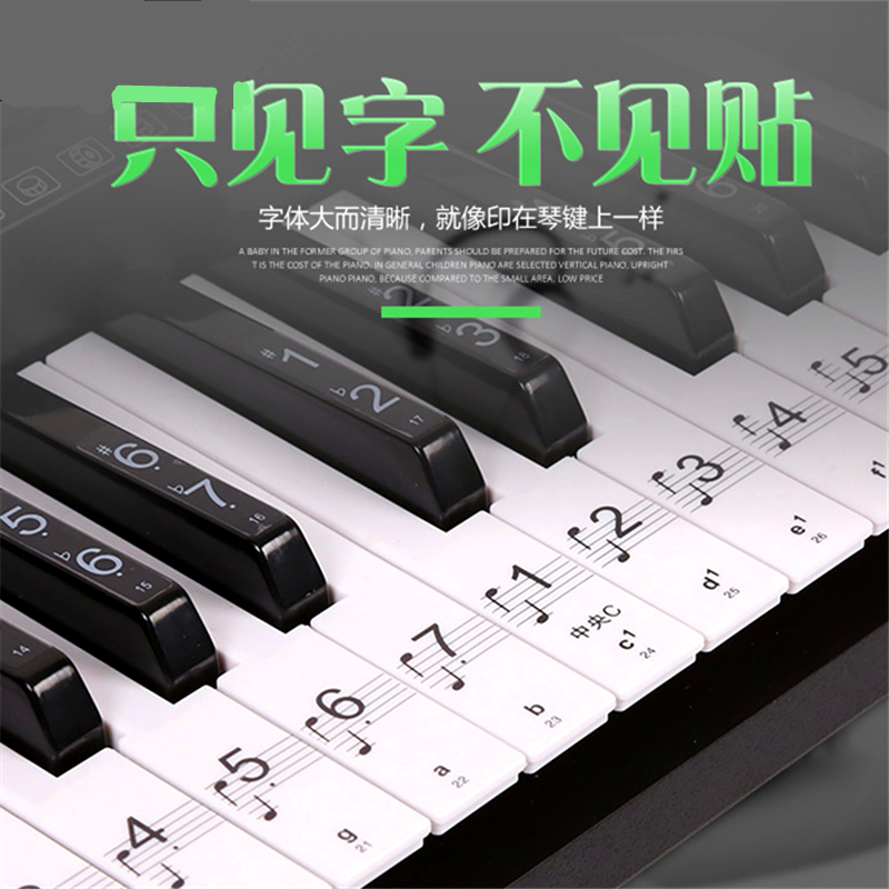 小鱼花花钢琴键盘贴纸88键彩色透明61电子琴手卷五线谱简谱按键音标