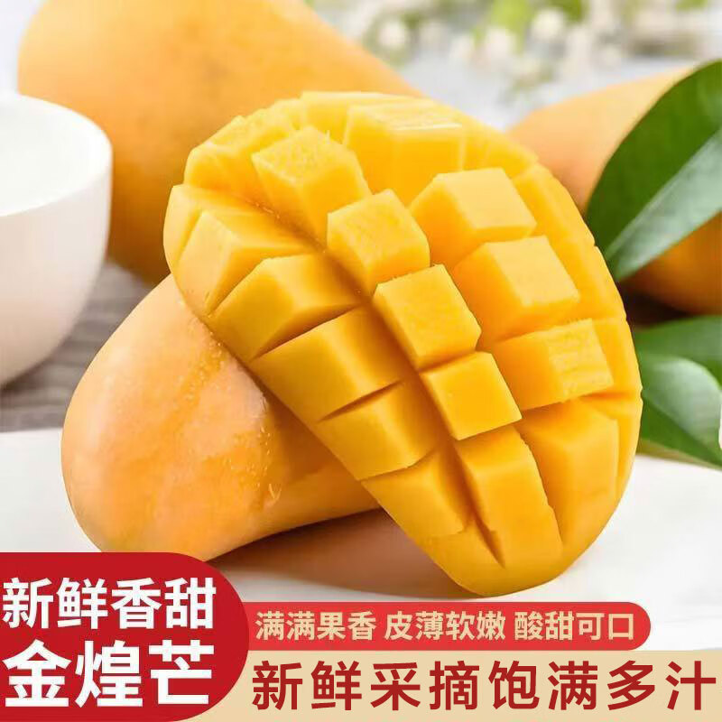 集南鲜海南金煌芒果净重4.5斤，实付12.8元