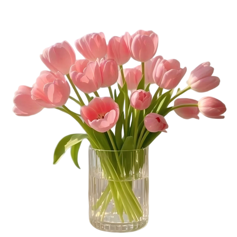 �ٽ��ۣ����Ứ�� �������ʻ� ˮ�����ڻ��� 20֦ ��������ֱ�� ��ɫ��� ��0.561Ԫ/֧��20֧11.22Ԫ����յ���