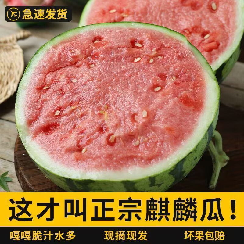 香当阳光【麒麟西瓜】云南西瓜脆甜瓜现摘薄皮美都新鲜泡沫箱发货现摘现发 【实惠超值】4-5斤【一个瓜】