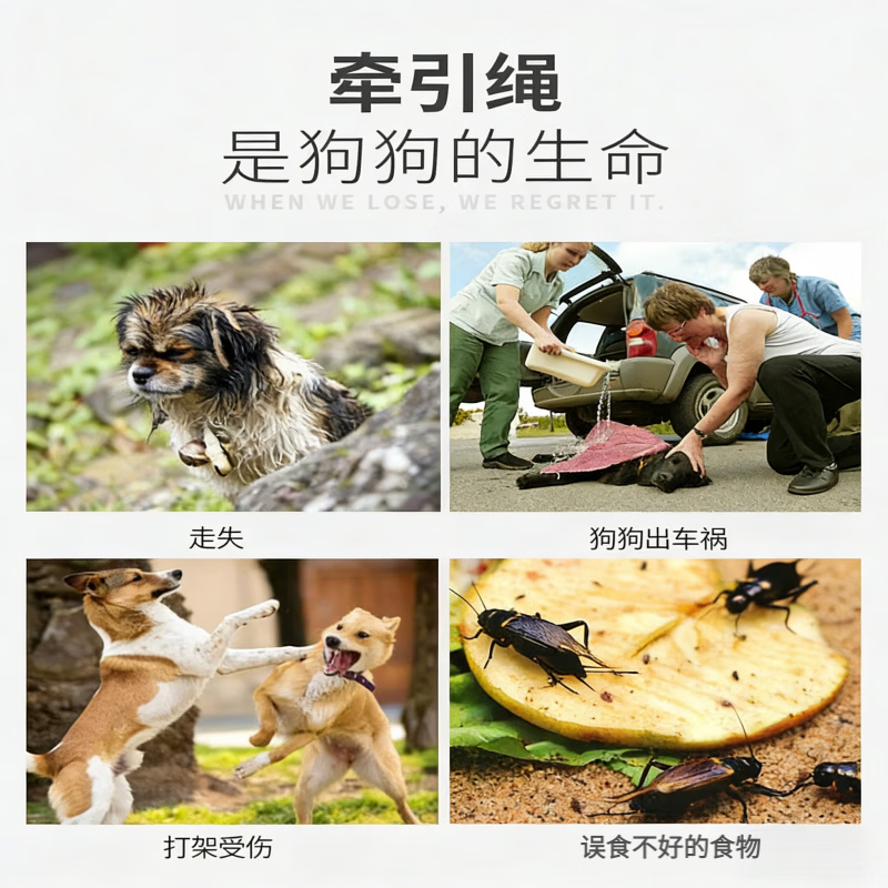GERTHRON德国背心式狗狗牵引绳小型犬泰迪比熊博美幼犬小狗胸背带宠物狗链 黄蓝（配150CM长扁绳）舒软透气 M-（建议体重6-10斤的萌宠）