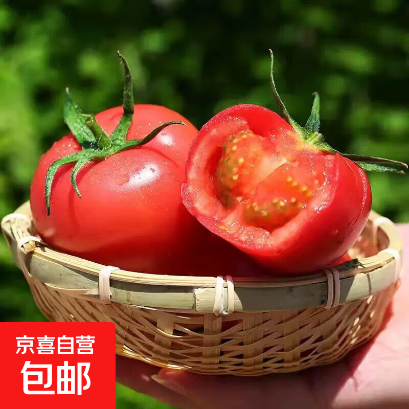 沙瓤西红柿【当季现摘】高山现摘西红柿新鲜水果蔬菜 净重 5斤 店长推荐装【单果70g+】