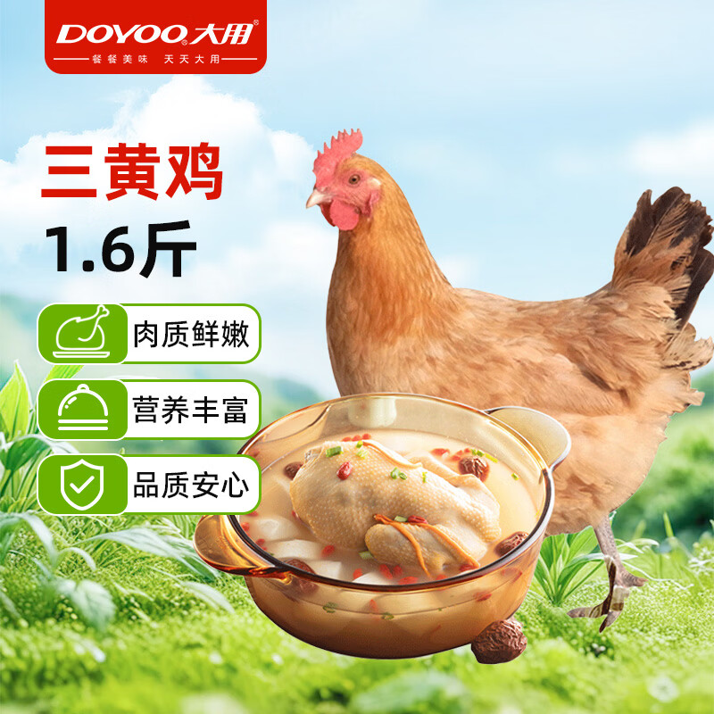 大用三黄鸡1.6斤/只 冷冻新鲜鸡肉散养鸡走地鸡煲汤食材 清真食品