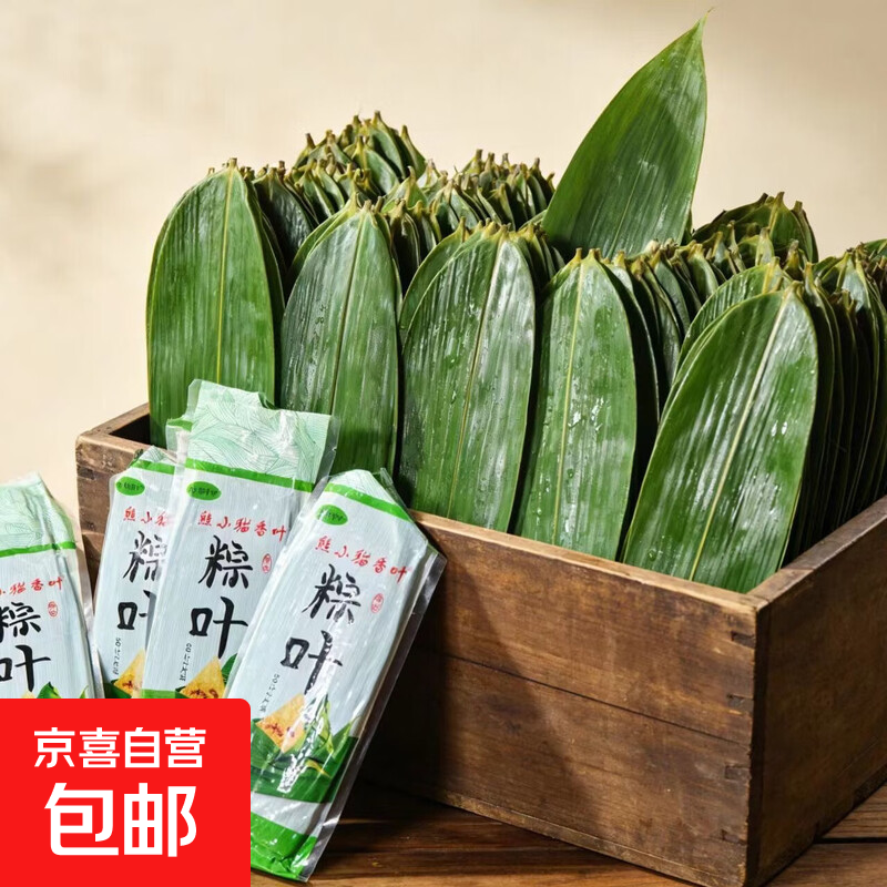 新鲜粽叶粽子原料鲜粽叶干粽叶自营工厂直发鲜粽叶现摘新鲜包粽子 大号干粽叶(6-9cm）送25m绳子 150片
