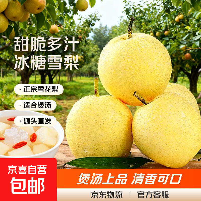 京喜加河北雪梨赵县雪花梨冰糖雪梨煲汤首选远达新25 雪梨带箱2斤大果
