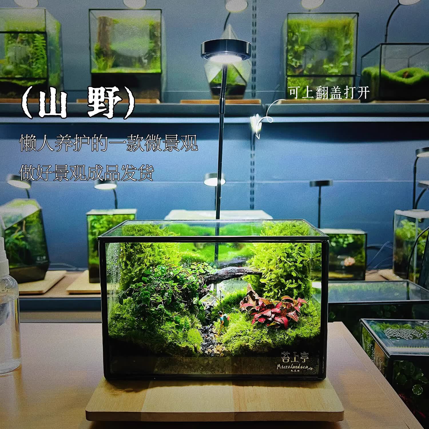 封茗网红趣味桌面绿植摆件苔藓微景观生态缸懒人养护生态闷养盒创意 精灵旅馆】升级版+植物灯