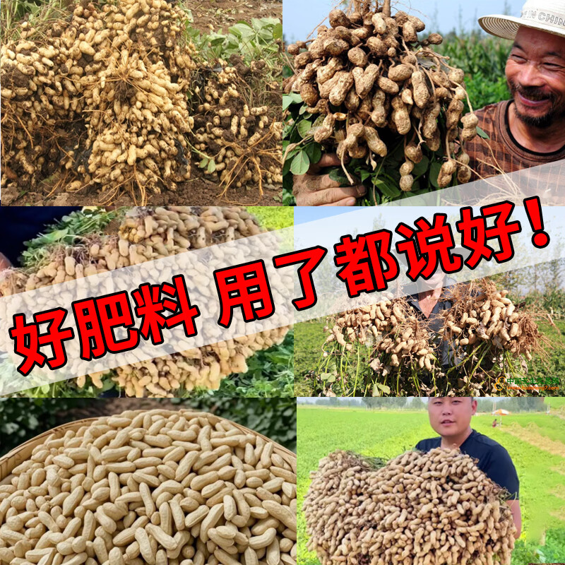 垄颖正品花生膨大粒粒饱花生专用膨大剂花生增产增收快速大果叶面肥 花生不空壳【1袋】贵在运费