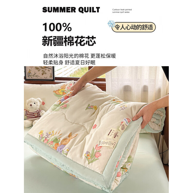 春夏款空调被夏凉棉全棉可机洗子2026芯学生宿舍春秋夏 好丽友【双层纱面料/棉花填充】 双人尺寸200x230cm春秋薄被