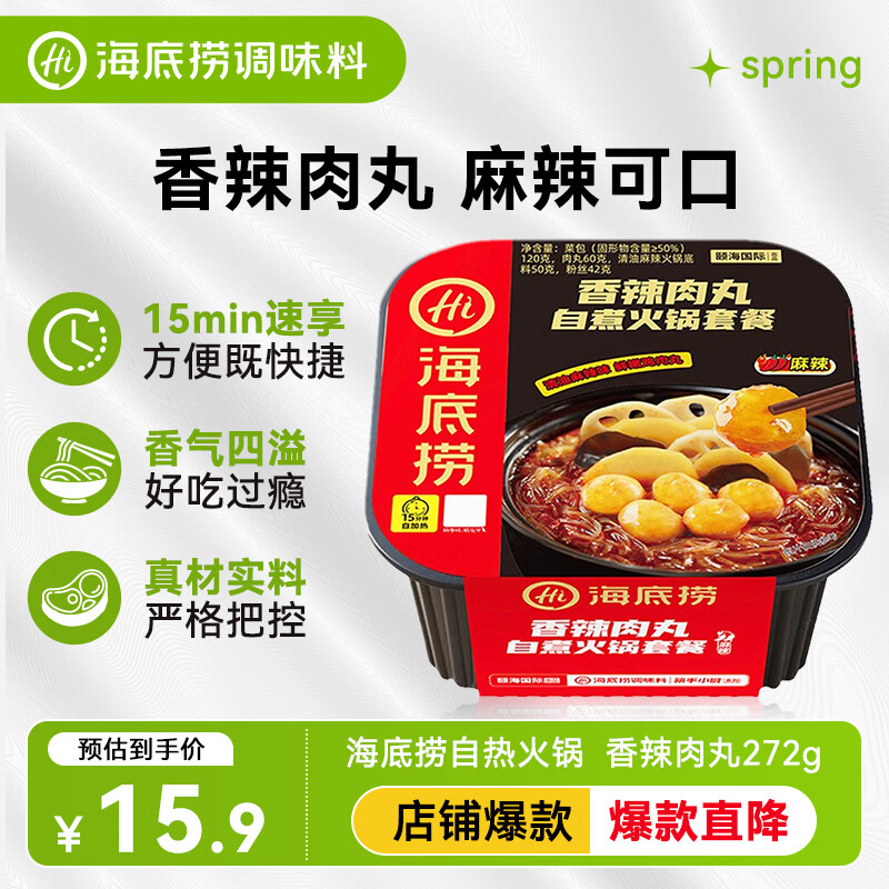 海底捞自热火锅 方便速食出游野餐便携无需热水 香辣肉丸272g
