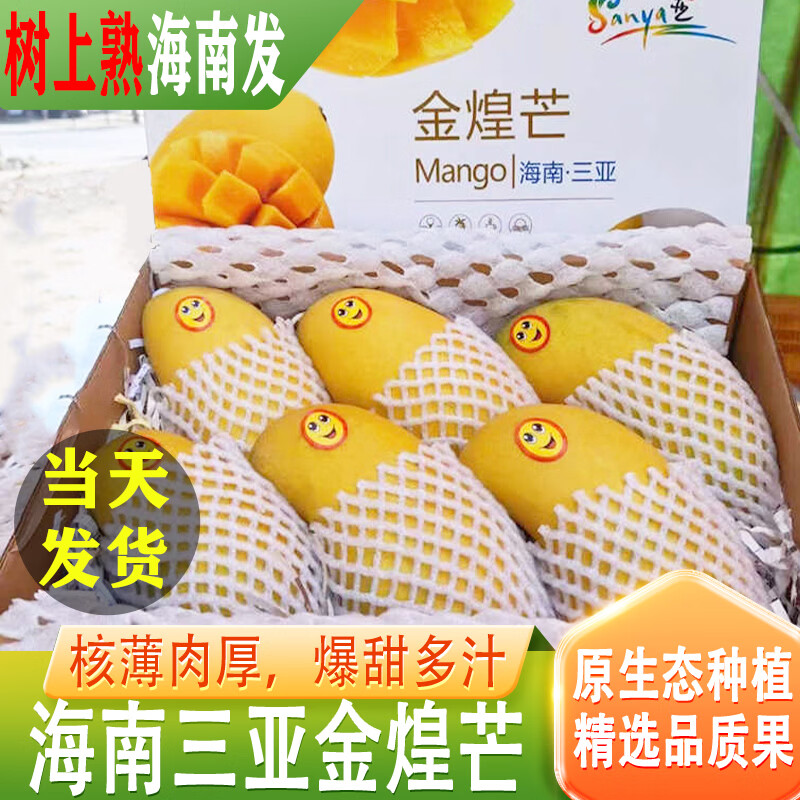 橙小士正宗海南三亚金煌芒果树上熟核小水仙黄金大芒果新鲜水果礼盒整箱 9.5-10斤甄选特大果【单果1.2斤+】净果9斤