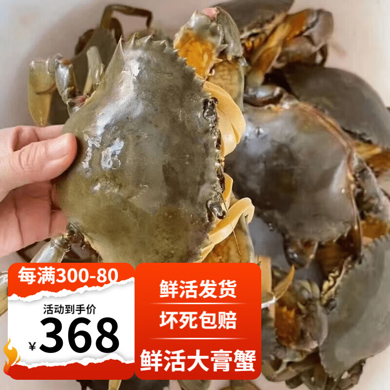 【活鲜】东山岛红膏蟹 福建野生青蟹 红鲟黄油螃蟹海鲜节庆礼盒装 3-5只/2斤红膏蟹