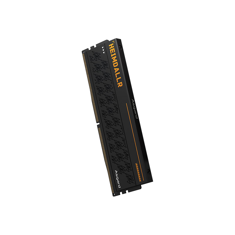 阿斯加特（Asgard）24GB DDR5 6000 台式机内存条 海姆达尔 马甲条 海力士M-die CL28 黑厚甲 AI电脑配件升级