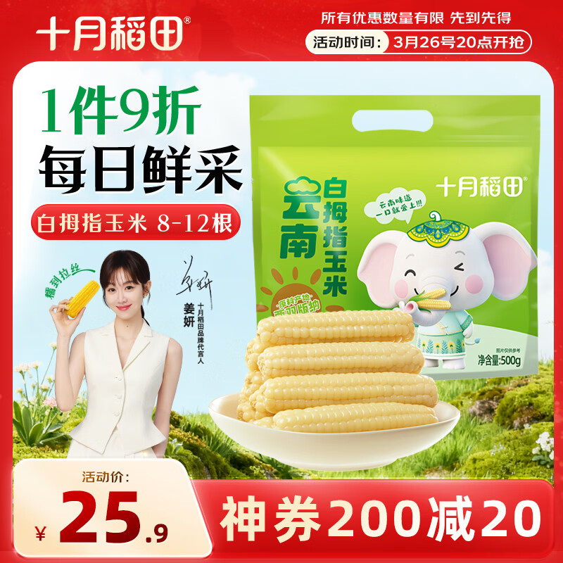 十月稻田 白拇指玉米 1斤(8~12根) 手指小玉米 真空 儿童早餐 西双版纳