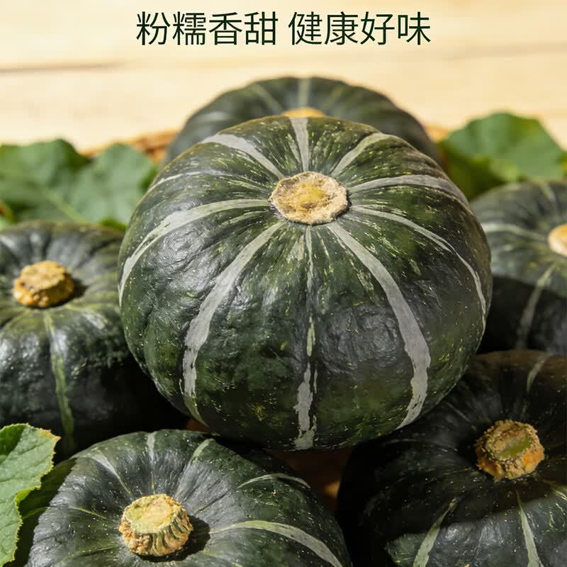 鲜苑胖胖正宗贝贝南瓜粉糯香甜自然成熟现健康粗粮摘现发坏果包赔新鲜直达 带箱 5斤 8-14个(150-300g)