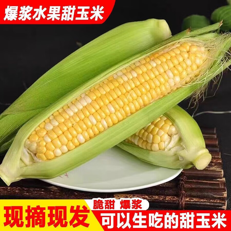 农锅锅玉米云南水果玉米甜玉米金银玉米双色玉米精选多汁带绿皮 鲜玉米带箱9斤净重8.2斤