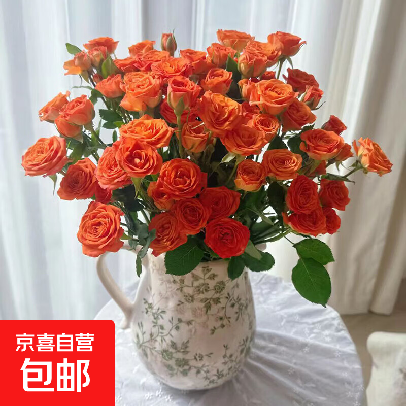 3-8妇女节随机色康乃馨10枝女神节鲜花生活鲜花昆明鲜花直发2 多头玫瑰橙色芭比5枝