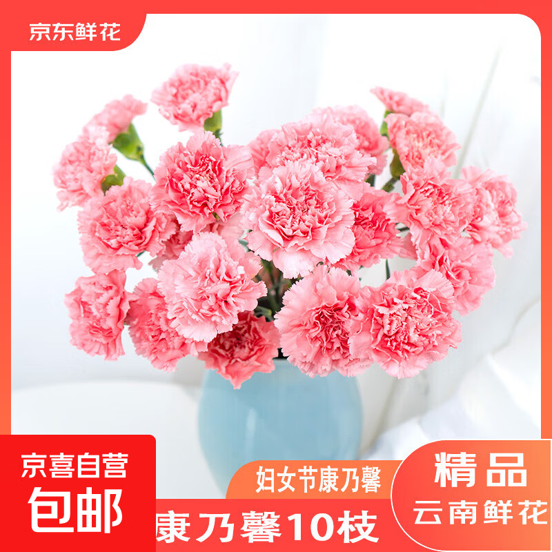 3-8妇女节随机色康乃馨10枝女神节鲜花生活鲜花昆明鲜花直发2 随机色康乃馨10枝