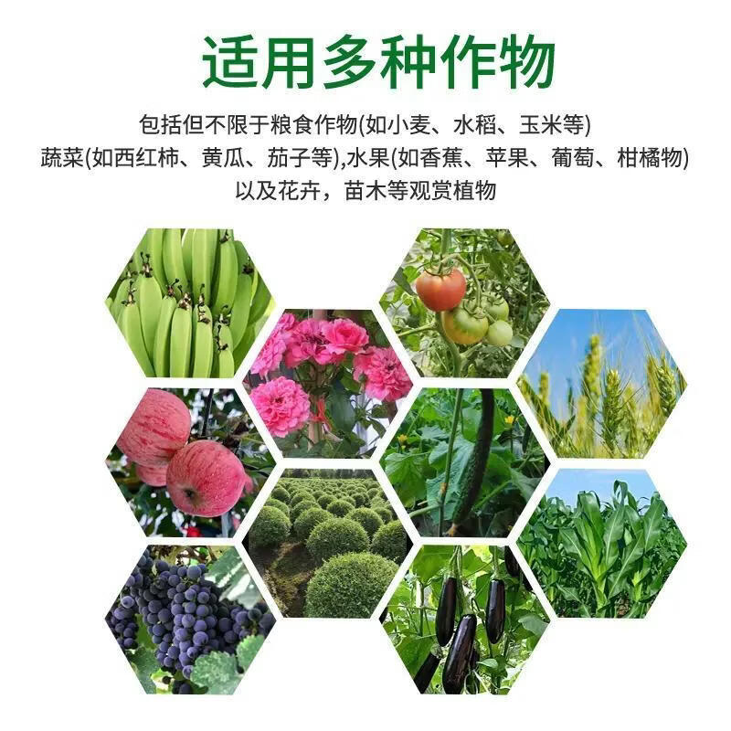 【穗鹏生物】香蕉娃蕉绿 生根调土降盐 提高肥料利用率 穗鹏生物20kg*5【五桶装】